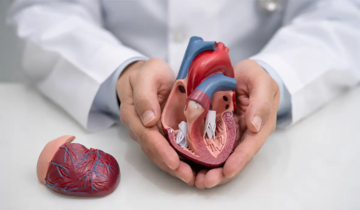 alcohol withdrawal heart symptoms
