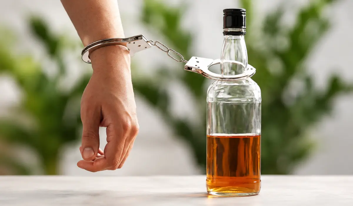 alcoholic vs addict