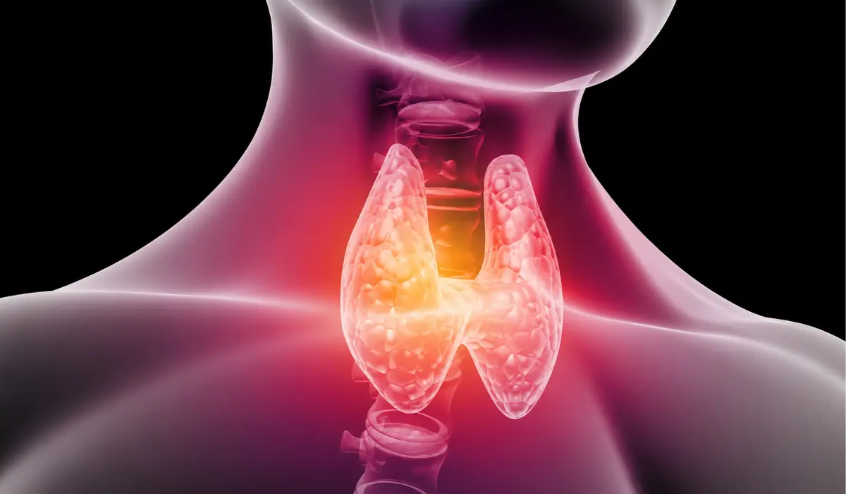 can alcohol affect thyroid function